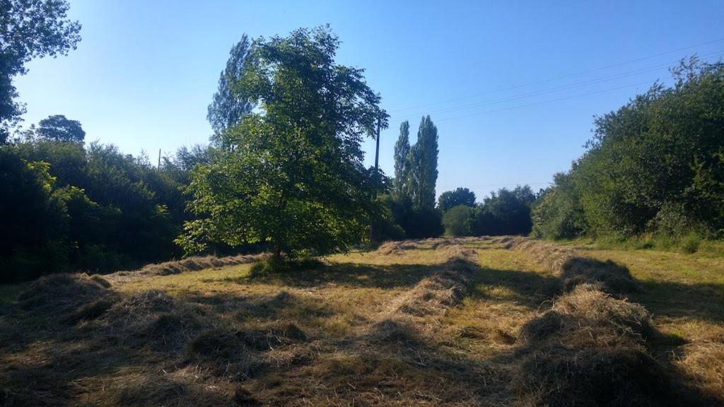 L'Angeberdiere Saint-Mars-sur-la-Futaie Luaran gambar