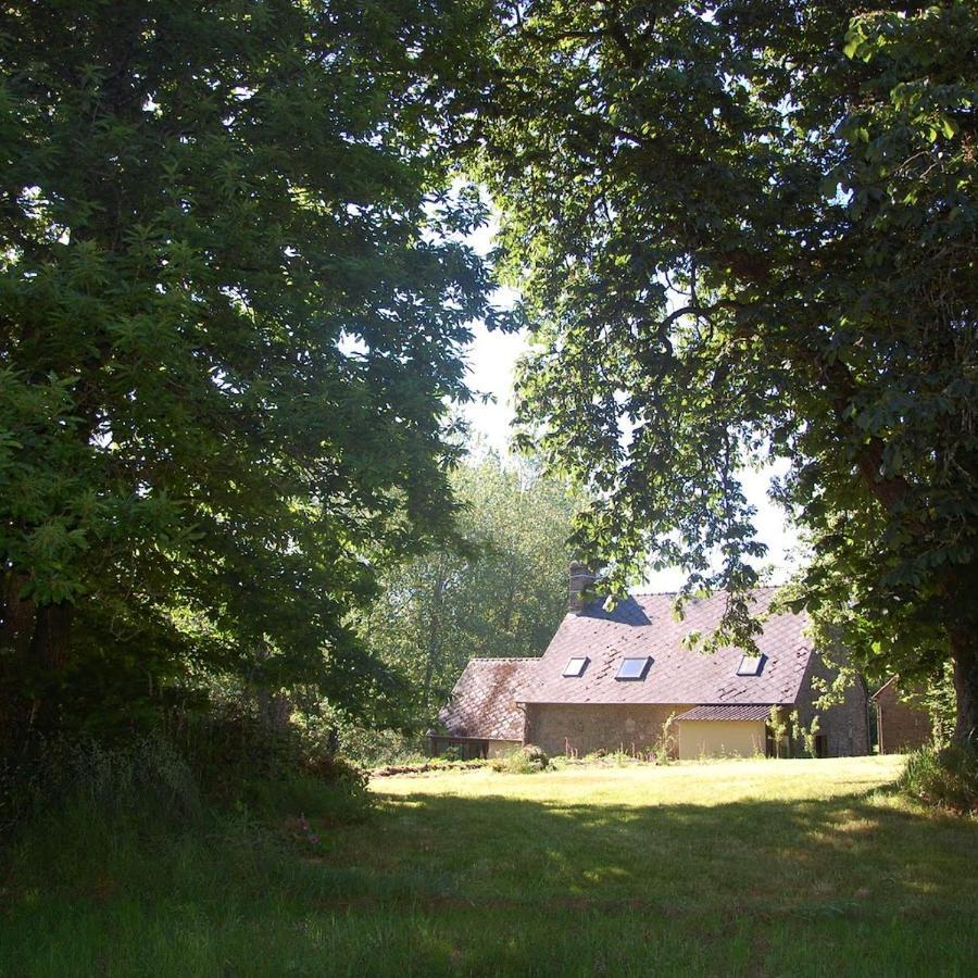 L'Angeberdiere Saint-Mars-sur-la-Futaie Luaran gambar